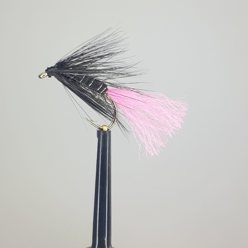 black spider pink tail